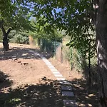 Dell'aviatore 4*