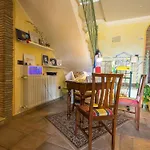 Dell'aviatore 4*