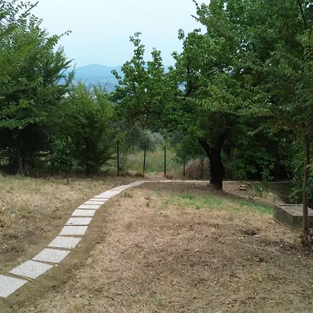 Dell'aviatore Bed and breakfast 4*