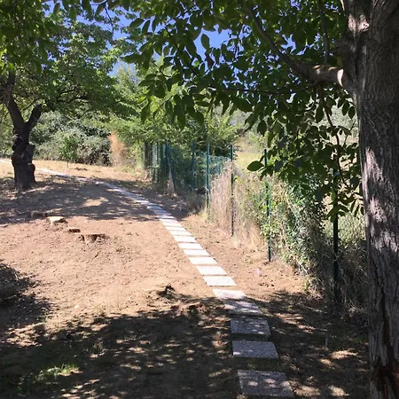 Dell'aviatore 4*