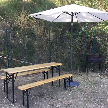Dell'aviatore 4*
